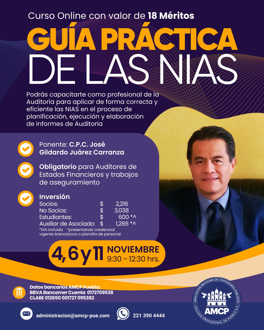 Guía Práctica de las NIAS