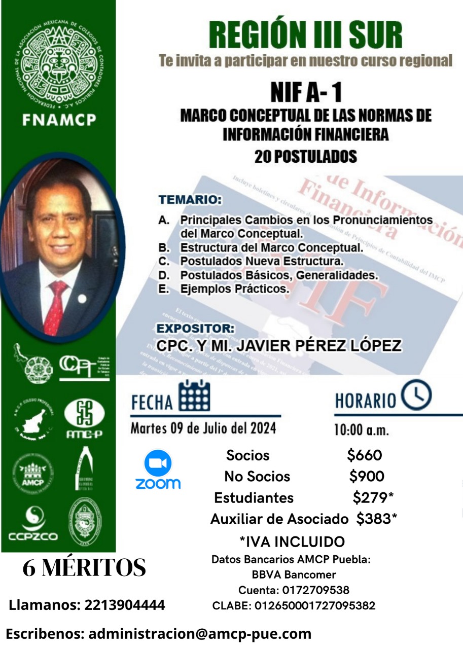 NIF A-1 Marco conceptual de las normas de información financiera 20 postulados