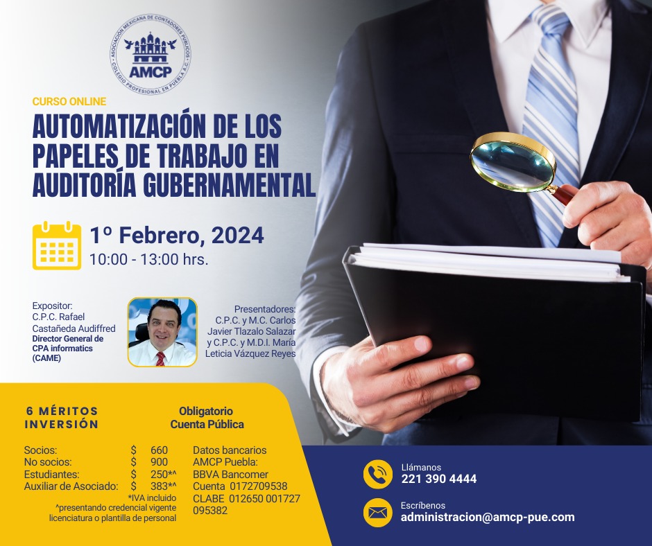 AUTOMATIZACIÓN DE LOS PAPELES DE TRABAJO EN AUDITORÍA GUBERNAMENTAL